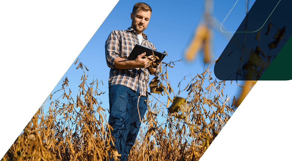 Agricultor com tablet numa lavoura de soja